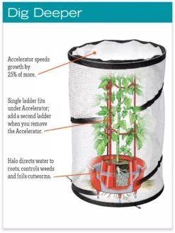 Tomato TLC Kits, Set Of 3 -Gardene Supply Sales hiw 8594214 jpg